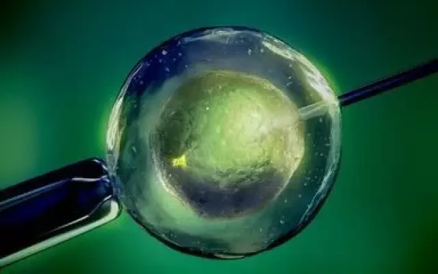 沪上生殖医学中心